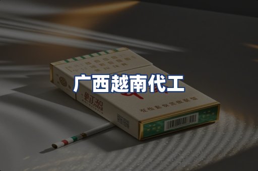 广西越南代工